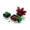 Lego Icons 10309 Succulents