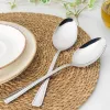 Serving Spoon Set Salter BW09649 — 2-piece stainless steel, dishwasher safe