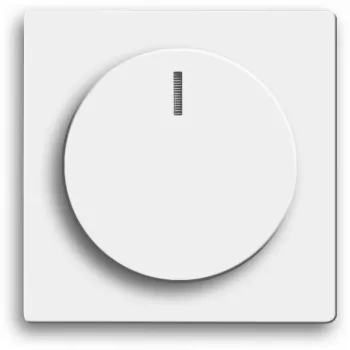 Busch-jaeger 2CKA006599A2953 Networking Device White