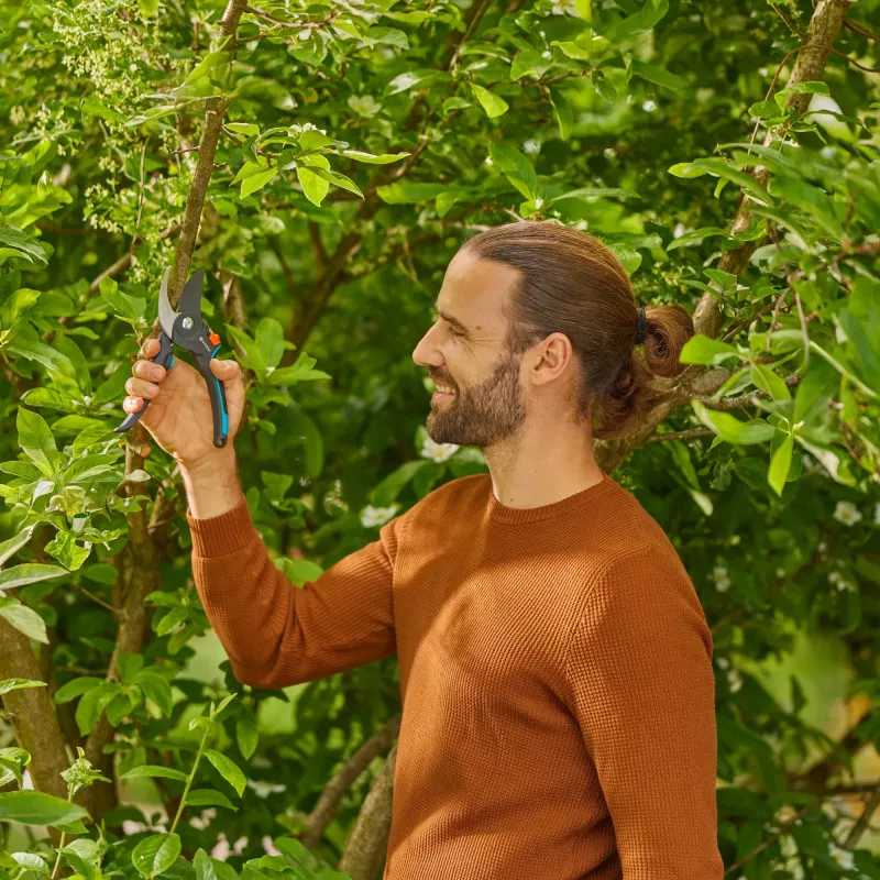 garden shears PremiumCut Pro - fresh wood Grey/turquoise, Bypass