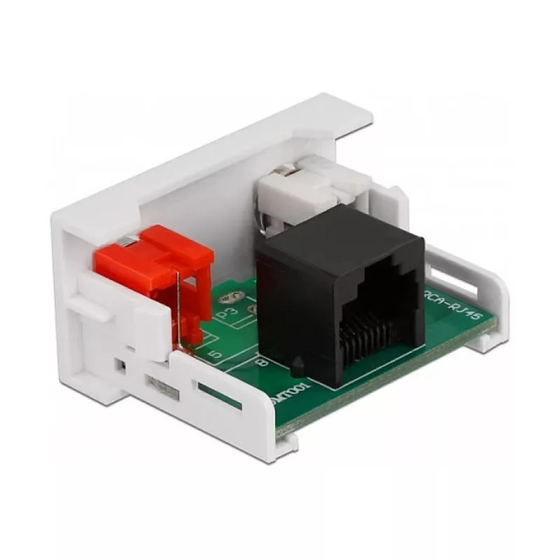 DeLOCK Easy 45 Module 2 x RCA female to RJ45 female port 22.5 x 45 mm