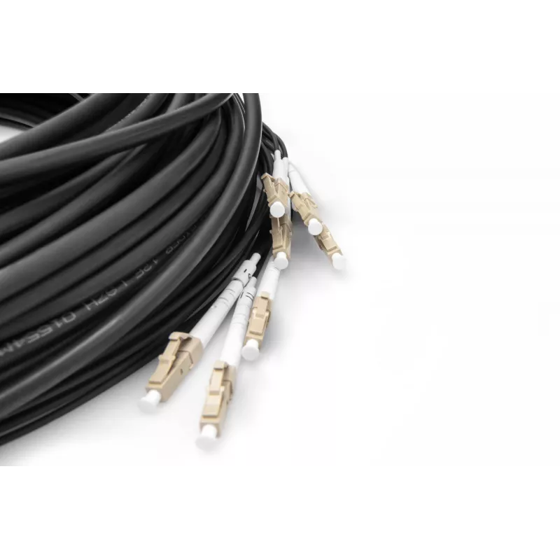 Digitus Pre-assembled Fiberglass Universal Breakout Cable Multi Mode OM4 8 Fibers LC/UPC 50m