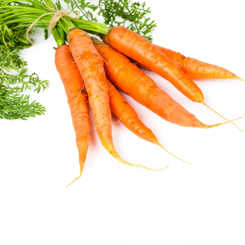 Seed tape Apte Marchew LENKA 6 m — carrot seed strip for sowing