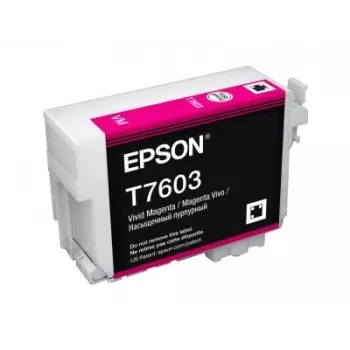 Epson C13T76034N10 ink cartridge 1 pc(s) Original Vivid magenta