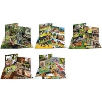 Ring Binder HERMA 19455 A3 Multicolour Storage