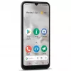 Doro 8100 Plus 15,5 cm (6.1 ) Dual-SIM Android 11 Go Edition 4G USB Typ-C 2 GB 32 GB 3000 mAh Grey (380501)