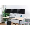 LogiLink BP0052 monitor mount / stand 81.3 cm (32) Desk Metallic