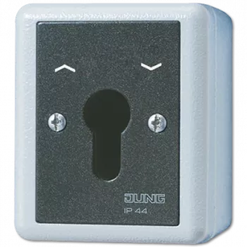 JUNG 834.28G Electrical Switch Key-operated switch Black - White (834.28G)