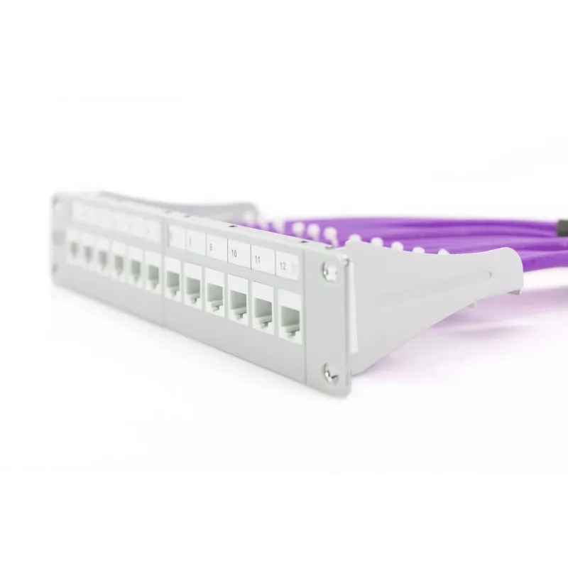 Network Cable Digitus Cat.6 U/UTP 305m Violet