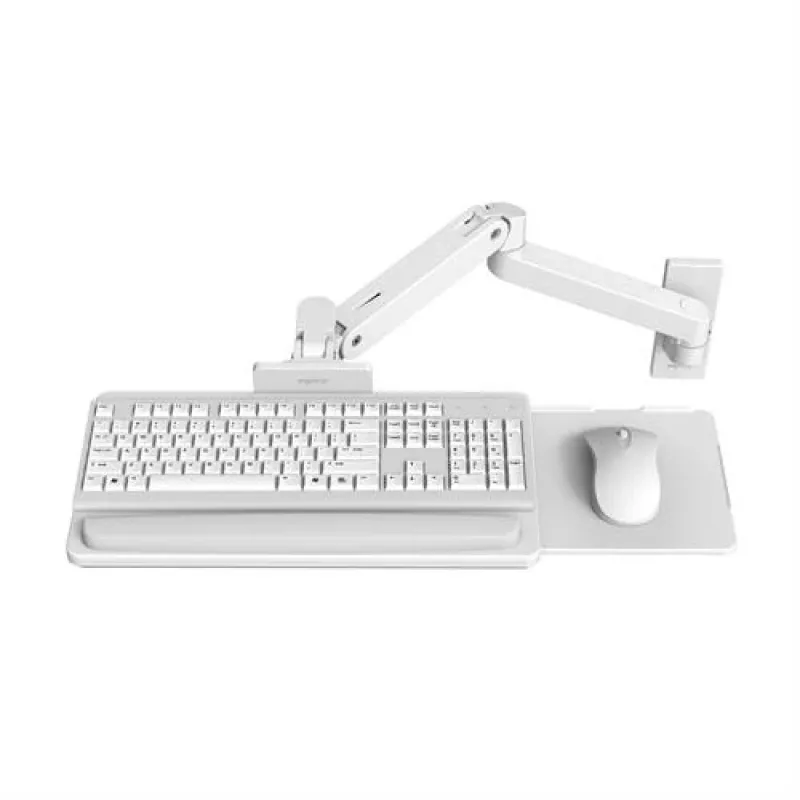 Ergotron LX Pro - Keyboard/Mouse Tray with Support Arm Mount (45-685-290)