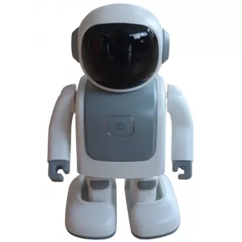 Bluetooth speaker ALLNET Robert with app control — model Robert