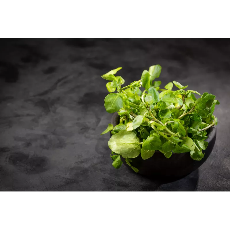 Watercress Toraf Vegetable Seeds, 0.2g Package
