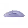 Mouse Steelseries 62525 RF Wireless + Bluetooth