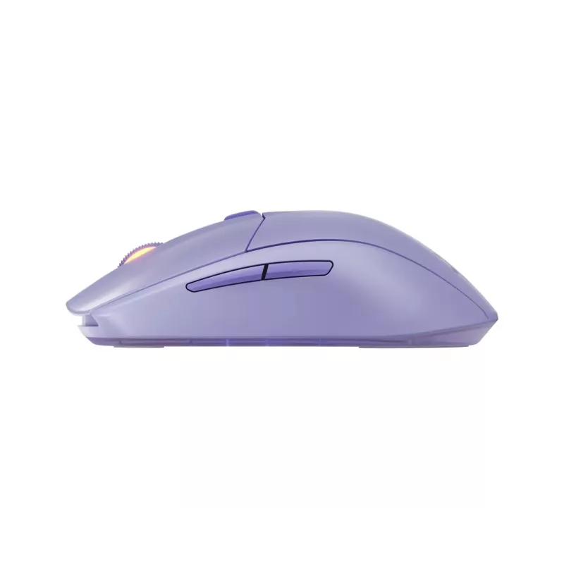 Mouse Steelseries 62525 RF Wireless + Bluetooth