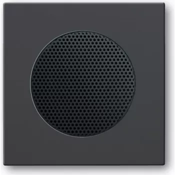 BUSCH JAEGER 2CKA008200A0078 - Black - square - 8223 U - 63 mm - 63 mm