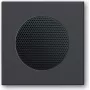 BUSCH JAEGER 2CKA008200A0078 - Black - square - 8223 U - 63 mm - 63 mm