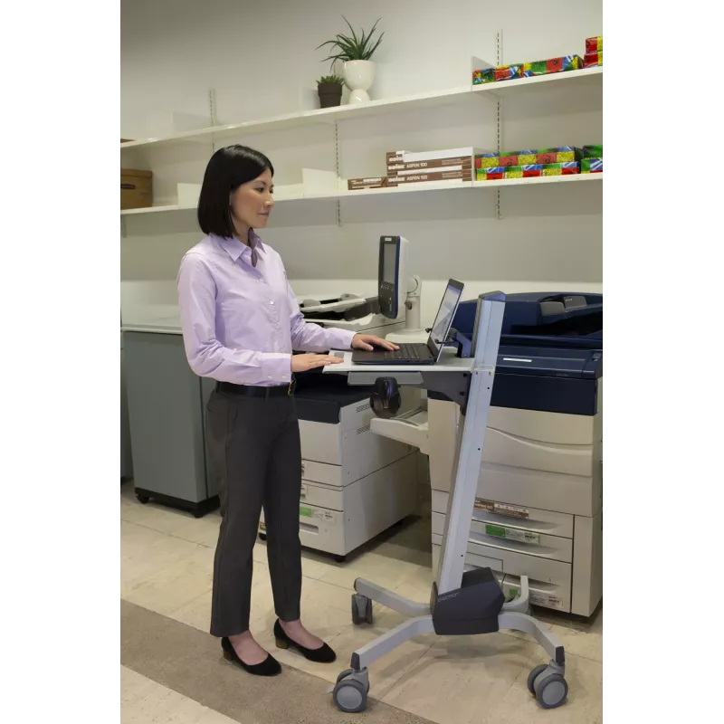 Multimedia cart Ergotron Neo-Flex Laptop Cart