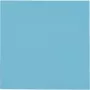 Thermal Grizzly Minus Pad Pro - 100 x 100 x 1.0 mm