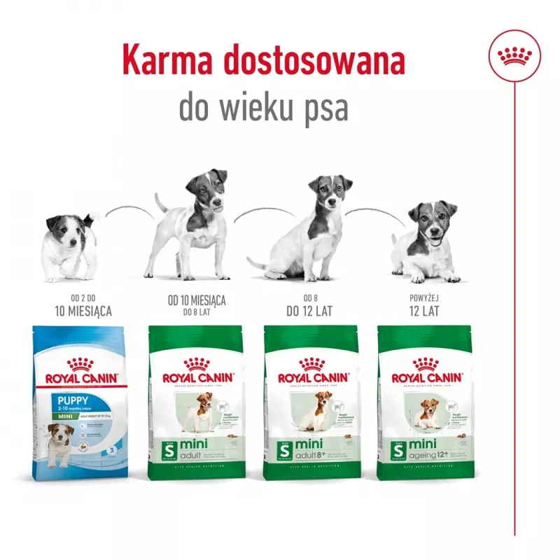 Dry dog food Royal Canin Mini Adult 8+ 2 kg — small breeds 5–10 kg, poultry, weight-control formula