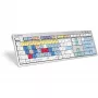 Keyboard Logickeyboard ALBA Universal USB AZERTY French Silver