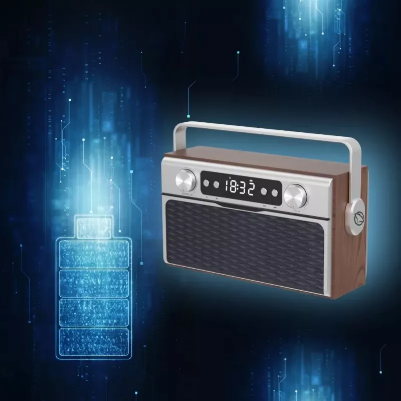Portable radio MANTA RDI917PRO with Bluetooth and USB playback