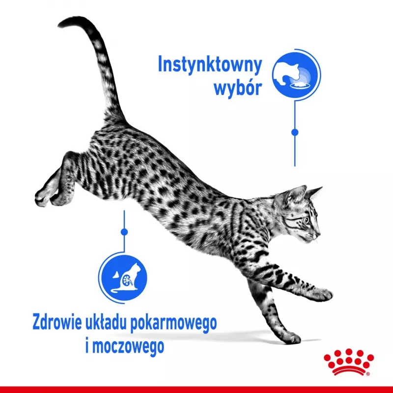 Wet cat food Royal Canin Indoor Sterilized 85 g pouch — adult indoor neutered, poultry flavor, pack 12 x 85 g