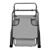 Foldable Garden Deck Chair with Cushion Black Forest, Grey