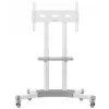 TV Stand ONKRON TS1351-W for 32–65 inch TVs, White, Universal Floor Stand