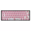 White Shark Roserift mechanical keyboard switches, 65 pcs
