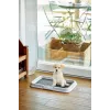 ZOLUX dog / cat litter box Open litter box Black, Grey