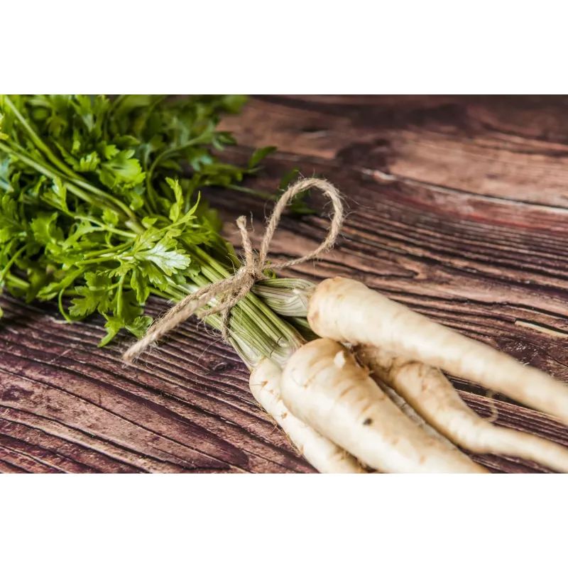 Olomouc Parsley Toraf Vegetable Seeds, 5g Package