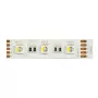 Synergy 21 LED Flex Strip 5050 - 60 RGB DC24V + RGB-W one chip KW IP20
