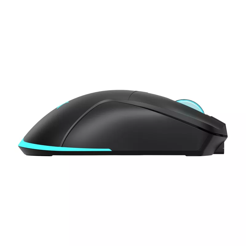 Mouse Baracuda BGM-121 Turtle Black USB