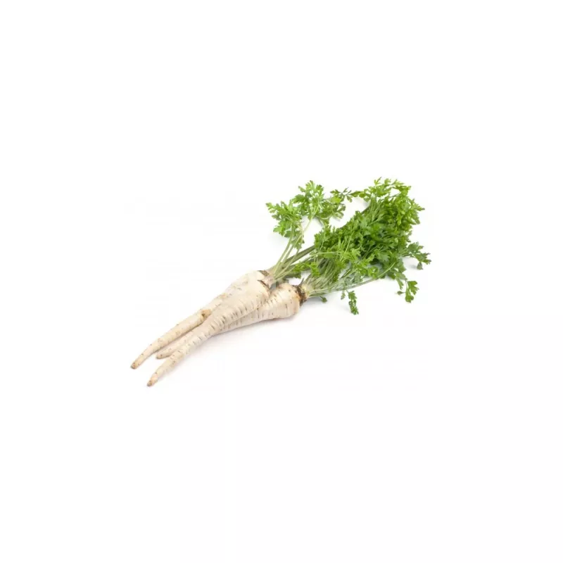 Seeds – Parsnip (Pietruszka Korzeniowa Alba) 3 g pack by Seklos LT