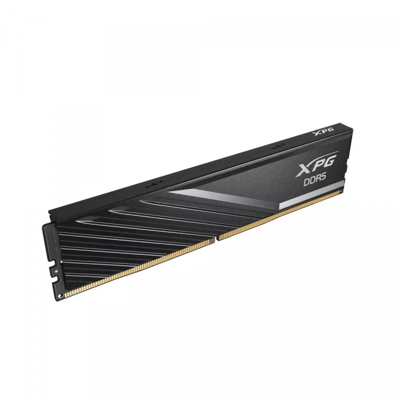 Memory ADATA DIMM DDR5 32GB 6000MT/s