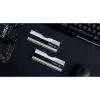 DIMM 32 GB DDR5-6000 (2x 16 GB) Dual-Kit, Arbeitsspeicher silber, F5-6000J3238F16GX2-TZ5RS, Trident Z5 RGB, INTEL XMP
