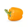 Vegetable seeds Seklos LT Papryka Etiuda — sweet pepper seeds pack 0.5 g