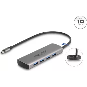 USB Hub DeLOCK 64293 Type-C 10000 Mbit/s Grey