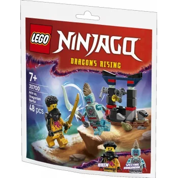Construction toy LEGO set 30700 Arin's Battle with the Dragon Man polybag (mini set)