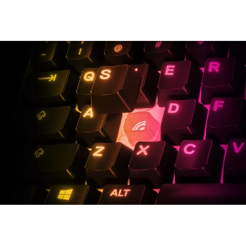Steelseries APEX 3 TKL keyboard USB QWERTY US English Black