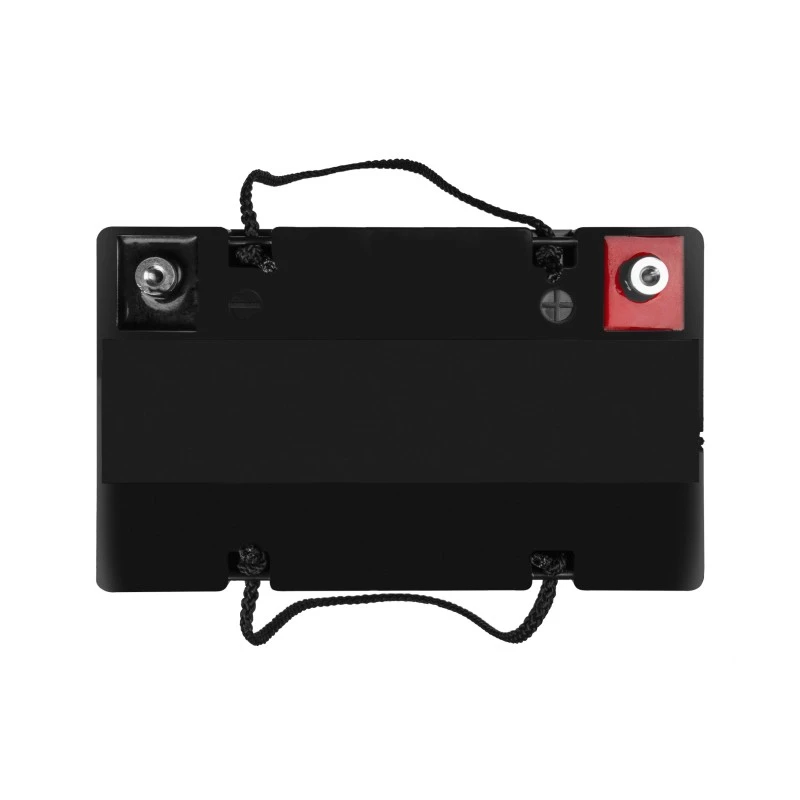Battery AGM VRLA 12V 55Ah IP54