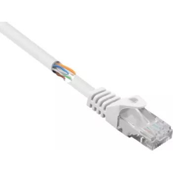 Renkforce RF-5043828 Ethernet Patch Cable White