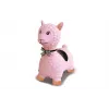 Inflatable Toy Jamara 460543