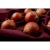 Wolska Onion Toraf Vegetable Seeds, 5g Pack