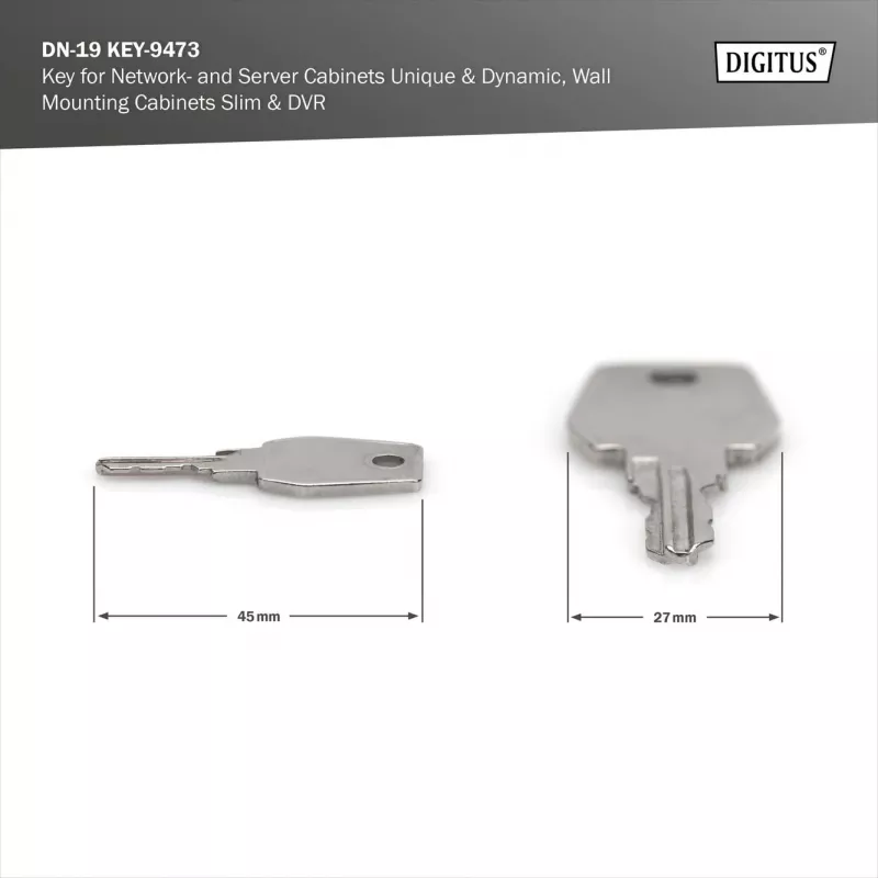 Key for Network and Server Cabinets Digitus DN-19 KEY-9473