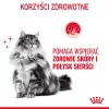 ROYAL CANIN Hair&Skin Care Adult - dry cat food - 400g