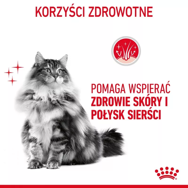 ROYAL CANIN Hair&Skin Care Adult - dry cat food - 400g