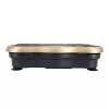 HMS vibration platform SVP01 gold