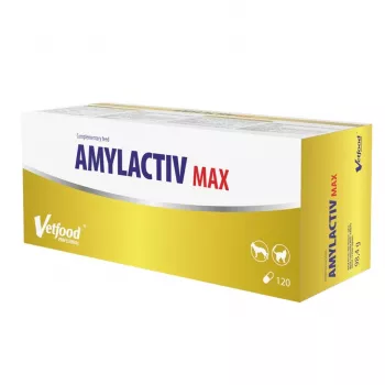 Dietary supplement Vetfood Amylactiv MAX — digestive support tablets for dogs and cats, 120 capsules, 100 g, soy‑ and gluten‑free