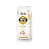 Brit Fresh Adult dry dog food 12 kg, chicken, apple, buckwheat, potato